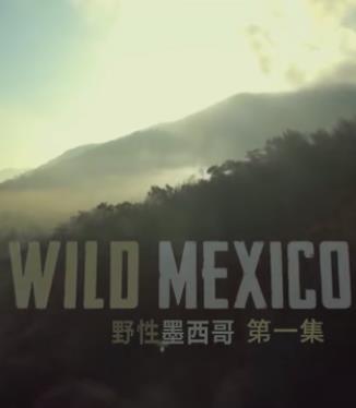 野性墨西哥第01集