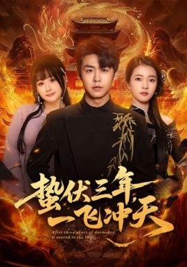蛰伏三年，一飞冲天(全集)
