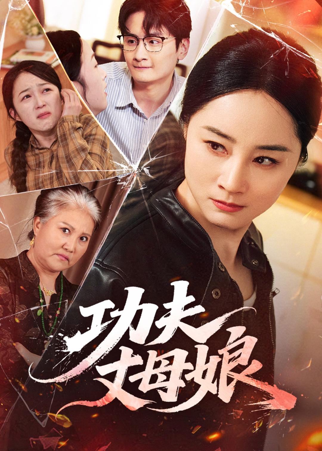 功夫丈母娘(全集)