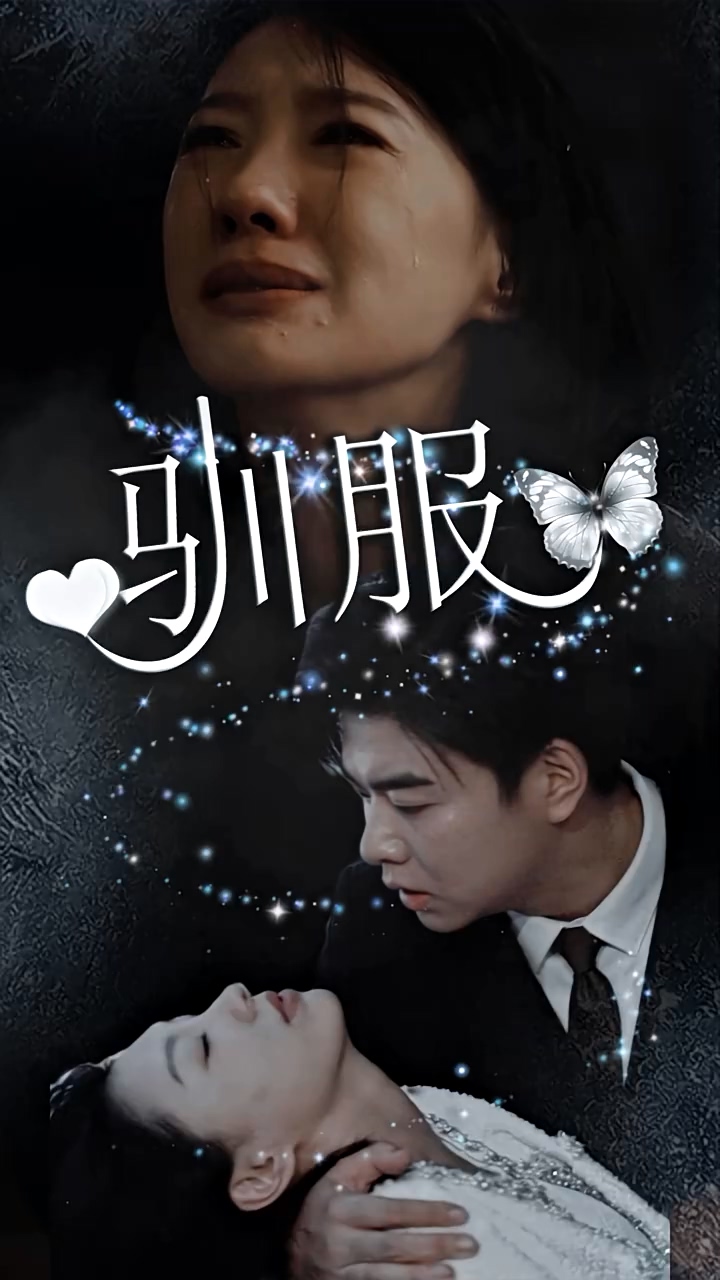 驯服第101集(大结局)