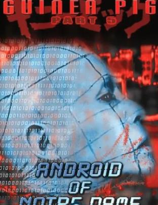 豚鼠系列之6：圣母机器人