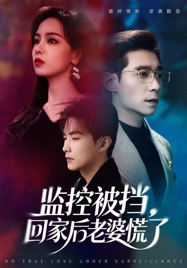 监控被挡，回家后老婆慌了(全集)