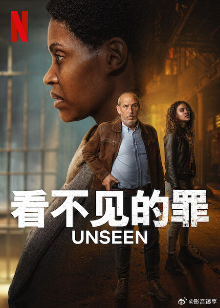 看不见的罪第2季(全集)